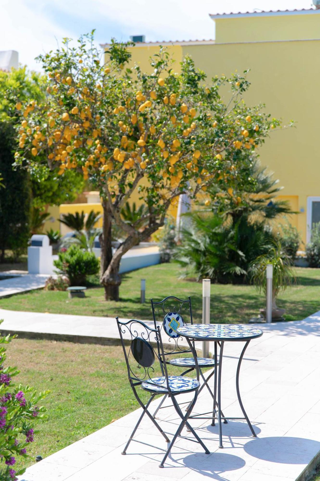 Il Leone Di Mare Hotel Procida Kültér fotó
